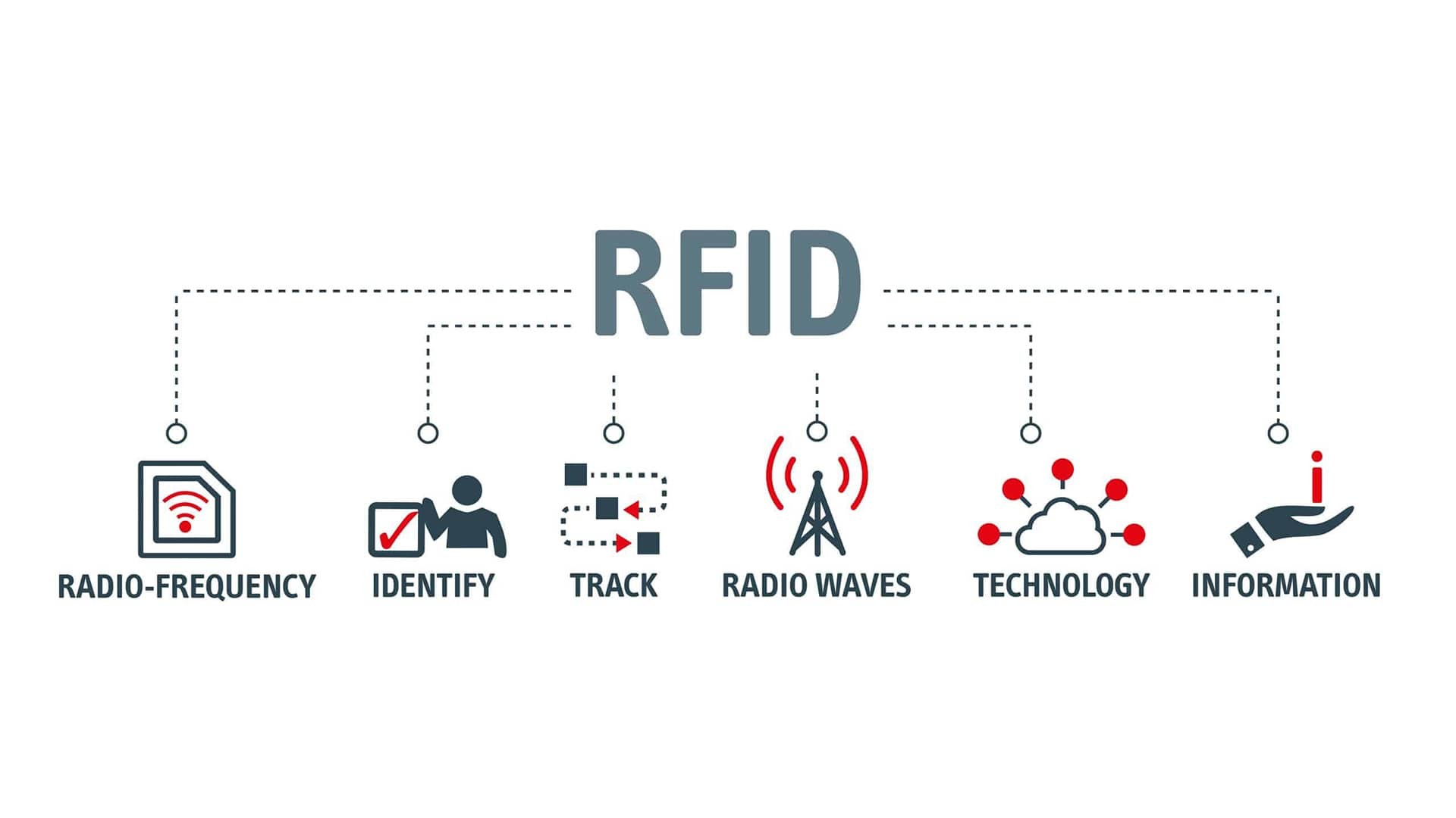 Trasformazione digitale della logistica e dello stoccaggio delle aziende del tè attraverso la tecnologia RFID