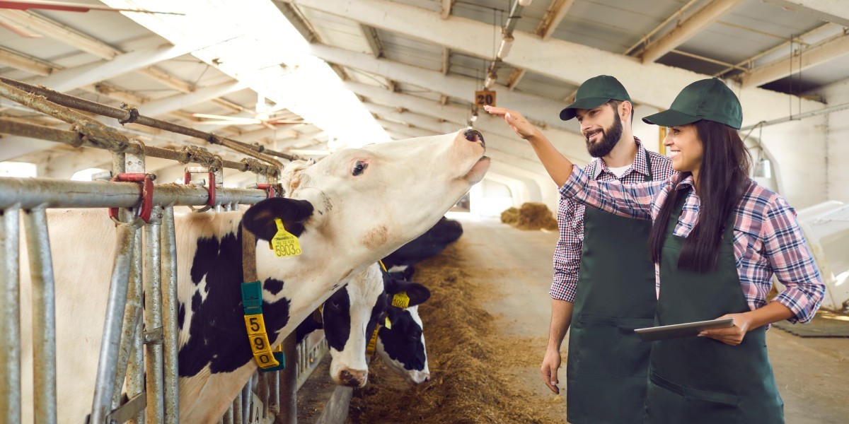 Sfruttare la tecnologia RFID per la gestione dell'agricoltura di precisione
