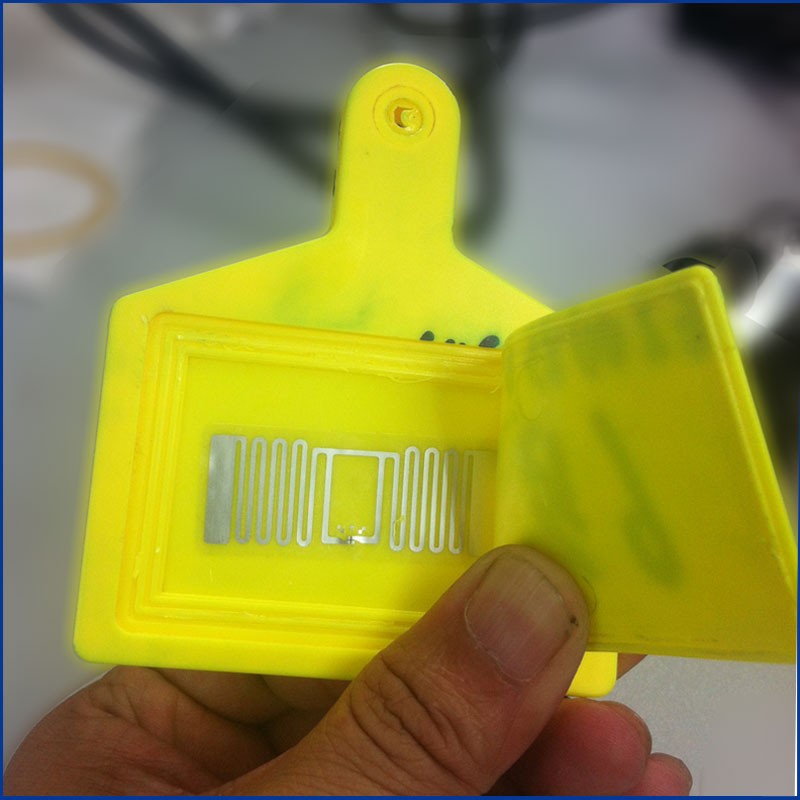 Etichette auricolari RFID UHF di alta qualità per animali, modello JT-307